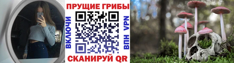 Галлюциногенные грибы мухоморы  хочу наркоту  мега как войти  Углегорск 