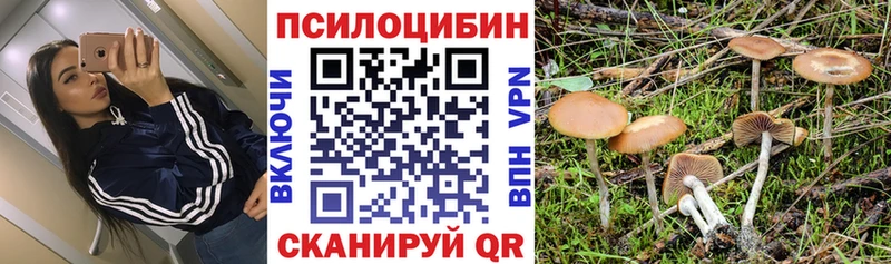 Галлюциногенные грибы прущие грибы Углегорск
